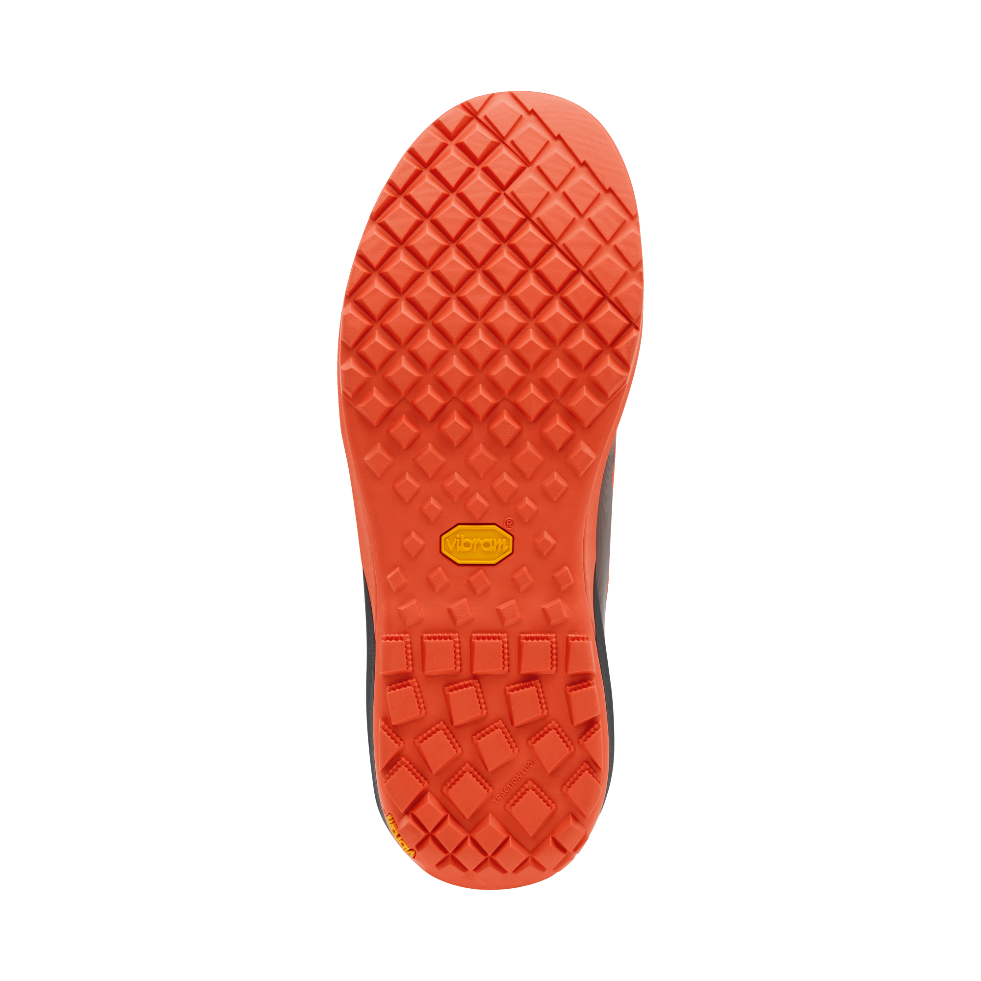 Palm Wave Sneakers