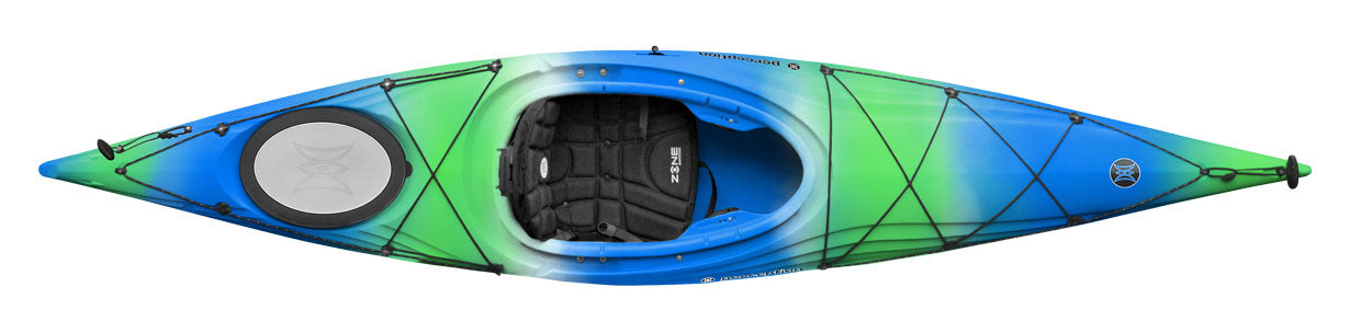 Perception Expression 11