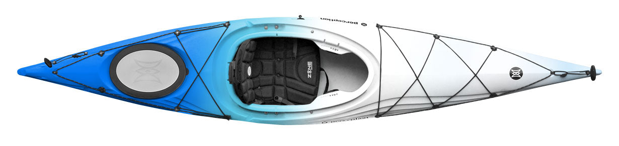 Perception Expression 11