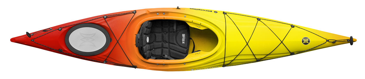 Perception Expression 11