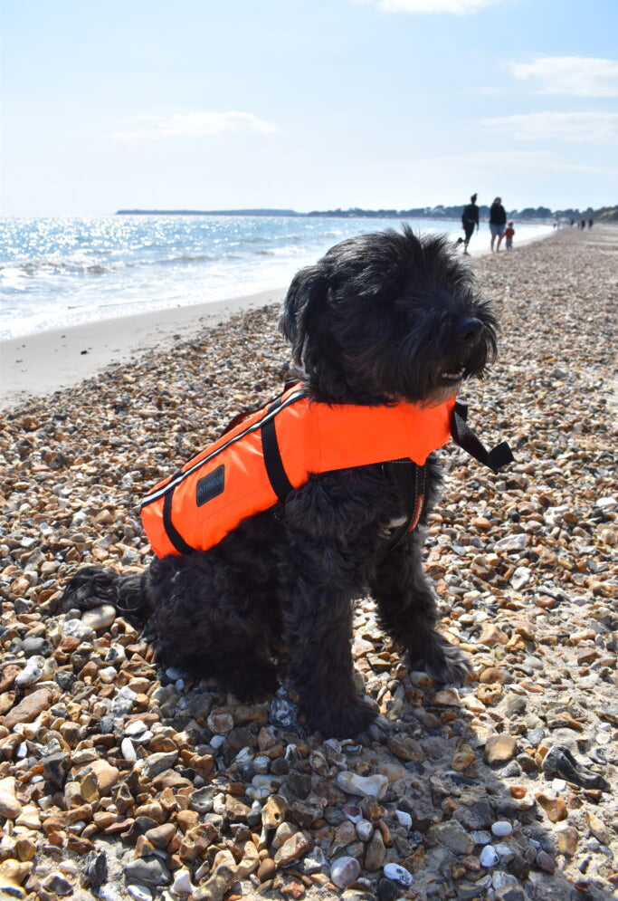 Typhoon Totland Dog Vest