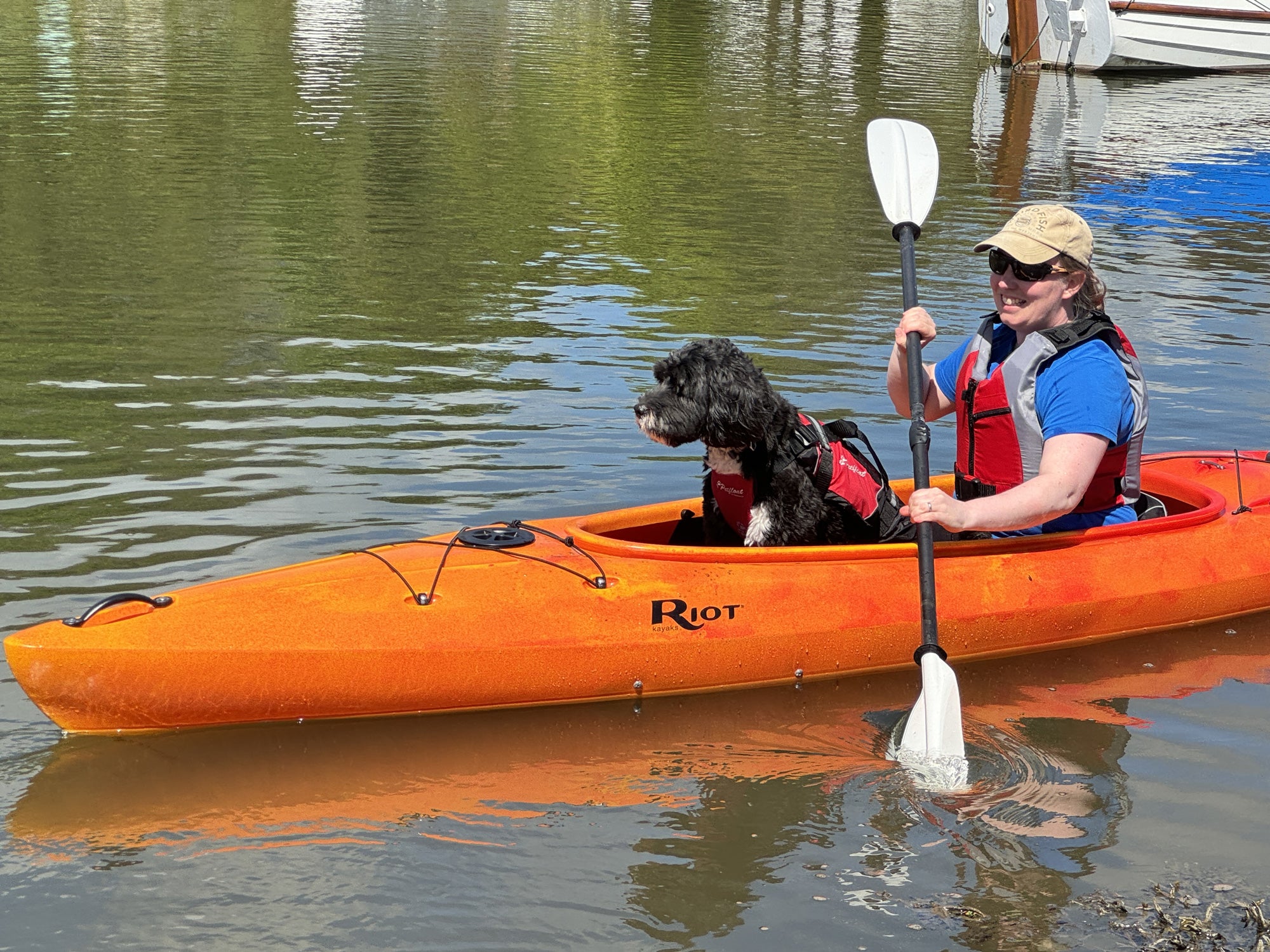 Bayside LV for Kayaking with a dog