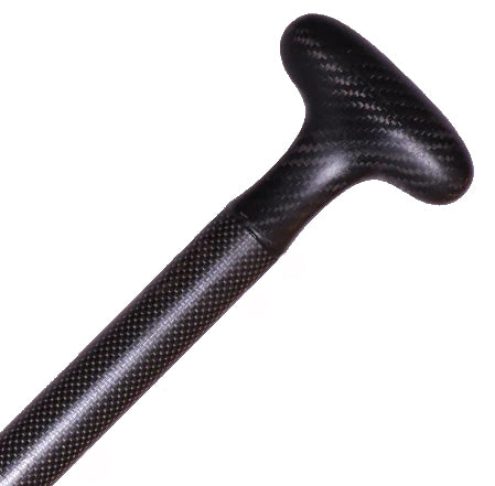 Werner Journey Carbon
