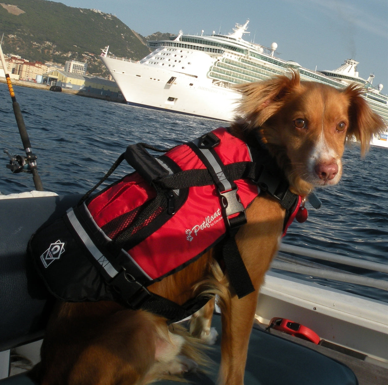 Dog PFDs for Boating, SUPs and Kayaking